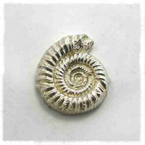 Large silver ammonite paperweight